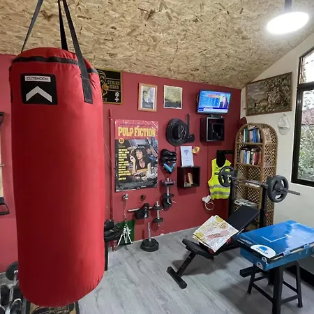 Casadarvore * Ponta Delgada (Madeira)