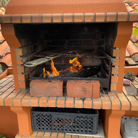 Apartamento Casadarvore *